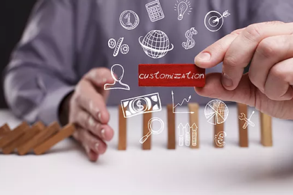 Software Customization Software Customization